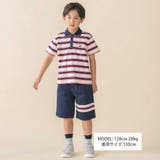 【お揃い】マルチボーダー半袖ポロシャツ(95~150cm) | BeBe Petits Pois Vert | 詳細画像2 