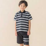 【お揃い】マルチボーダー半袖ポロシャツ(95~150cm) | BeBe Petits Pois Vert | 詳細画像6 