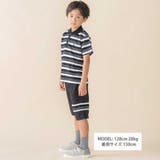 ストレッチチノライン切替ハーフパンツ(95~160cm) | BeBe Petits Pois Vert | 詳細画像2