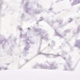 【 ニコ プチ | ZIDDY | 詳細画像18 