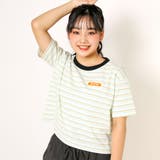 オフホワイト | ロゴ刺繍ボーダーTシャツ(130~160cm) | ZIDDY