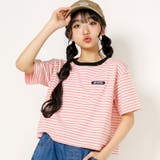 ピンク | ロゴ刺繍ボーダーTシャツ(130~160cm) | ZIDDY