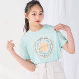 【 ニコ プチ | ZIDDY | 詳細画像1 