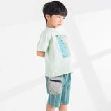ストライプダンガリーハーフパンツ(95~150cm) | BeBe Petits Pois Vert | 詳細画像4