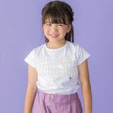ホワイト | チュールリボン切り替え天竺半袖Tシャツ(95~150cm) | BeBe Petits Pois Vert