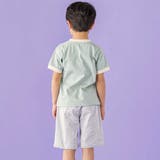 フォトプリント天竺配色半袖リンガーTシャツ(95~150cm) | BeBe Petits Pois Vert | 詳細画像4 