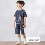 異素材切り替え半袖Tシャツ(95~160cm) | BeBe Petits Pois Vert | 詳細画像2 