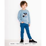 アニマル ドッグ プリント | WASK | 詳細画像2 