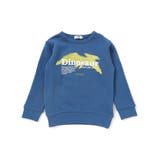 恐竜プリントトレーナー(100~160cm) | WASK | 詳細画像11 