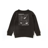 恐竜プリントトレーナー(100~160cm) | WASK | 詳細画像9 