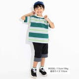 5.5分丈トロストレッチウェビングベルトパンツ(100~160cm) | WASK | 詳細画像7