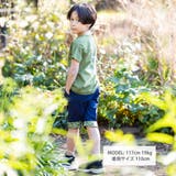 6分丈裾恐竜柄パンツ(100~160cm) | WASK | 詳細画像2