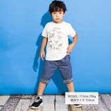 6分丈裾恐竜柄パンツ(100~160cm) | WASK | 詳細画像3