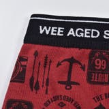 無地 + 総柄 2P コットン フライス ショーツ (110~160cm) | WASK | 詳細画像6 