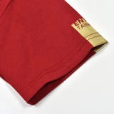 【抗菌防臭】裾レイヤード風マウンテンロゴ天竺Tシャツ(100~160cm) | WASK | 詳細画像10 