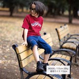 【抗菌防臭】裾レイヤード風マウンテンロゴ天竺Tシャツ(100~160cm) | WASK | 詳細画像2 