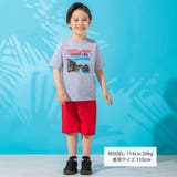 【接触冷感】海フォトプリントロゴ天竺Tシャツ(100~160cm) | WASK | 詳細画像2 