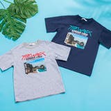 【接触冷感】海フォトプリントロゴ天竺Tシャツ(100~160cm) | WASK | 詳細画像4 