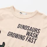 ベア天竺 恐竜サガラワッペンプリントTシャツ(100~160cm) | WASK | 詳細画像9 