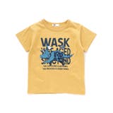 【速乾】WASKサル×恐竜天竺Tシャツ(80~160cm) | WASK | 詳細画像15 