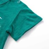 恐竜の愉快な仲間たちスラブ天竺Tシャツ(80~130cm) | WASK | 詳細画像10