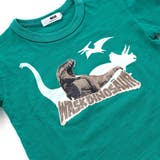 恐竜の愉快な仲間たちスラブ天竺Tシャツ(80~130cm) | WASK | 詳細画像12