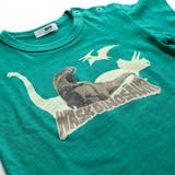 恐竜の愉快な仲間たちスラブ天竺Tシャツ(80~130cm) | WASK | 詳細画像13