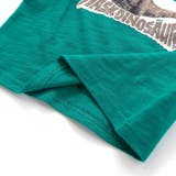 恐竜の愉快な仲間たちスラブ天竺Tシャツ(80~130cm) | WASK | 詳細画像14