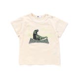 恐竜の愉快な仲間たちスラブ天竺Tシャツ(80~130cm) | WASK | 詳細画像3