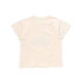 恐竜の愉快な仲間たちスラブ天竺Tシャツ(80~130cm) | WASK | 詳細画像4
