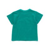 恐竜の愉快な仲間たちスラブ天竺Tシャツ(80~130cm) | WASK | 詳細画像8