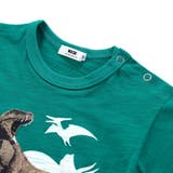 恐竜の愉快な仲間たちスラブ天竺Tシャツ(80~130cm) | WASK | 詳細画像9
