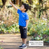 【接触冷感】マルチボーダー切り替えTシャツ(100~160cm) | WASK | 詳細画像2 