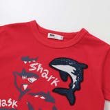 【接触冷感】WASKシャークTシャツ(100~160cm) | WASK | 詳細画像10 