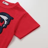 【接触冷感】WASKシャークTシャツ(100~160cm) | WASK | 詳細画像13 