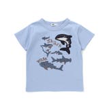 【接触冷感】WASKシャークTシャツ(100~160cm) | WASK | 詳細画像17 