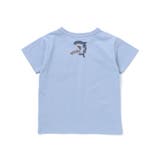 【接触冷感】WASKシャークTシャツ(100~160cm) | WASK | 詳細画像18 