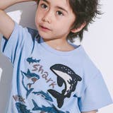 【接触冷感】WASKシャークTシャツ(100~160cm) | WASK | 詳細画像6 