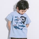 ブルー | 【接触冷感】WASKシャークTシャツ(100~160cm) | WASK