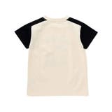 【接触冷感】ビーチバイカラーTシャツ(100~160cm) | WASK | 詳細画像7