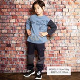 袖取り外し恐竜プリント長袖Tシャツ(80~160cm) | WASK | 詳細画像3