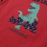 恐竜コード刺しゅうロゴTシャツ(80~140cm) | WASK | 詳細画像16 