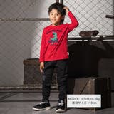 恐竜コード刺しゅうロゴTシャツ(80~140cm) | WASK | 詳細画像3 