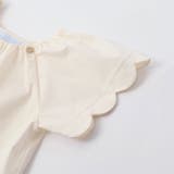 ハイブリッドタイプライタースカラップブラウス(100~140cm) | Tartine et Chocolat | 詳細画像5 