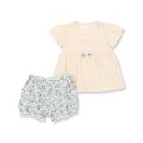 天竺Tシャツ＆花プリントブルマセット(70~90cm) | fillot de bébé réduction | 詳細画像17 