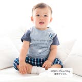 天竺Tシャツ&チェックパンツセット(70~90cm) | fillot de bébé réduction | 詳細画像2 