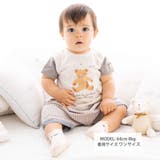 オーガニックストライプクマパンツ(60~90cm) | fillot de bébé réduction | 詳細画像2 