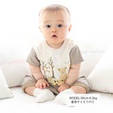 オーガニックコットンチェッククマパンツ(60~90cm) | fillot de bébé réduction | 詳細画像2