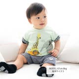 ガーゼ裏毛ワッペン付きパンツ(70~90cm) | fillot de bébé réduction | 詳細画像2