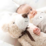 ルウちゃんぬいぐるみ | fillot de bébé réduction | 詳細画像4